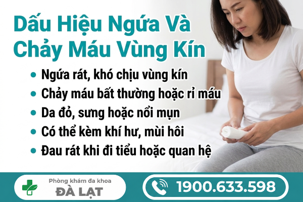 Hình ảnh minh họa